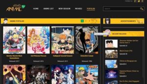 anime streaming website