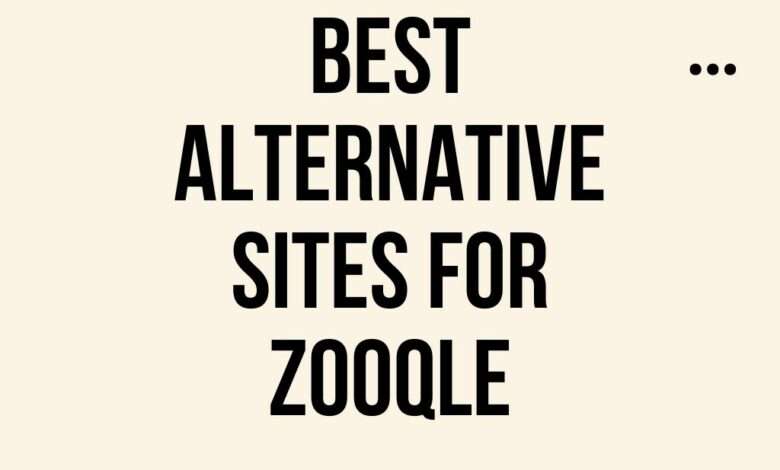 Best Alternative Sites for Zooqle - Feature image